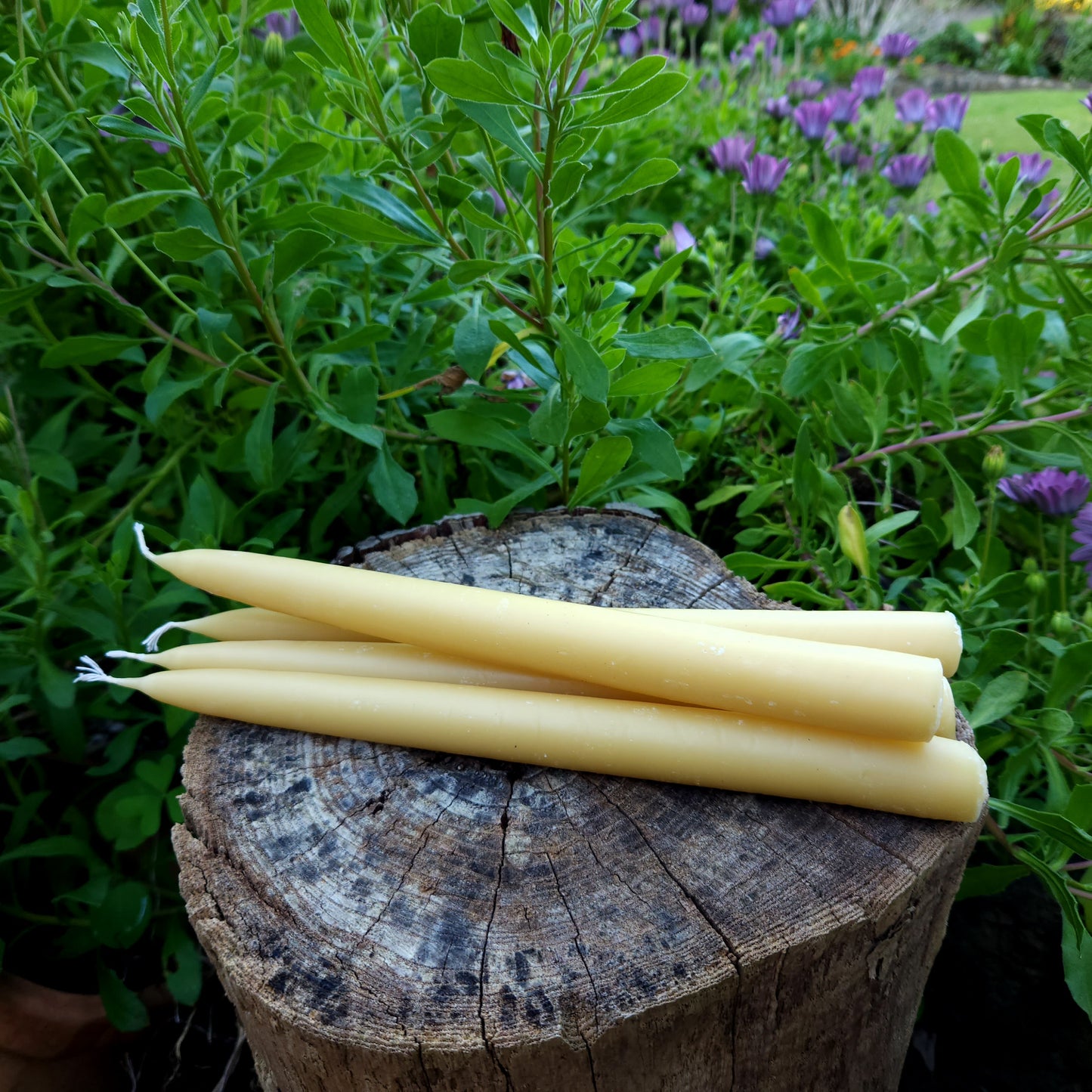 Australian Beeswax Taper Candles 25cm 9+ hour burn time