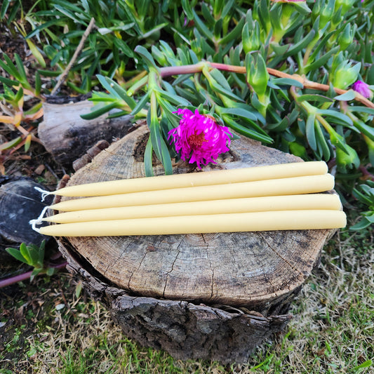 Australian Pure Beeswax Taper Candles 25cm 6+ hour burn time